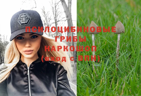 СК Беломорск