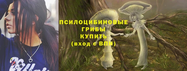 марки nbome Белокуриха