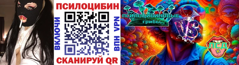 где можно купить наркотик  Бузулук  Псилоцибиновые грибы Cubensis 