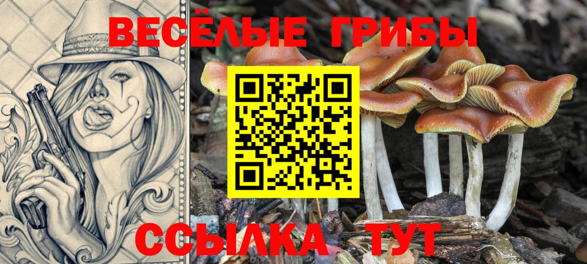 Псилоцибиновые грибы GOLDEN TEACHER Бузулук